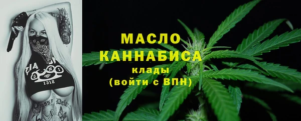 дживик Новодвинск