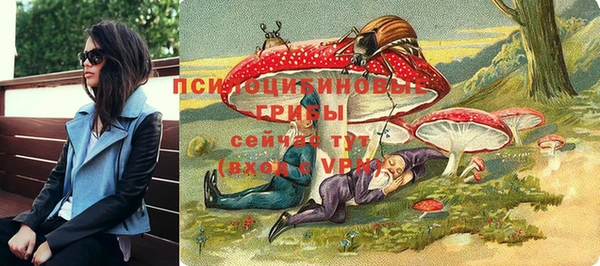 скорость Новозыбков